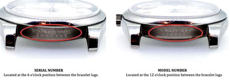 rolex watch case numbers|Rolex value by serial number.